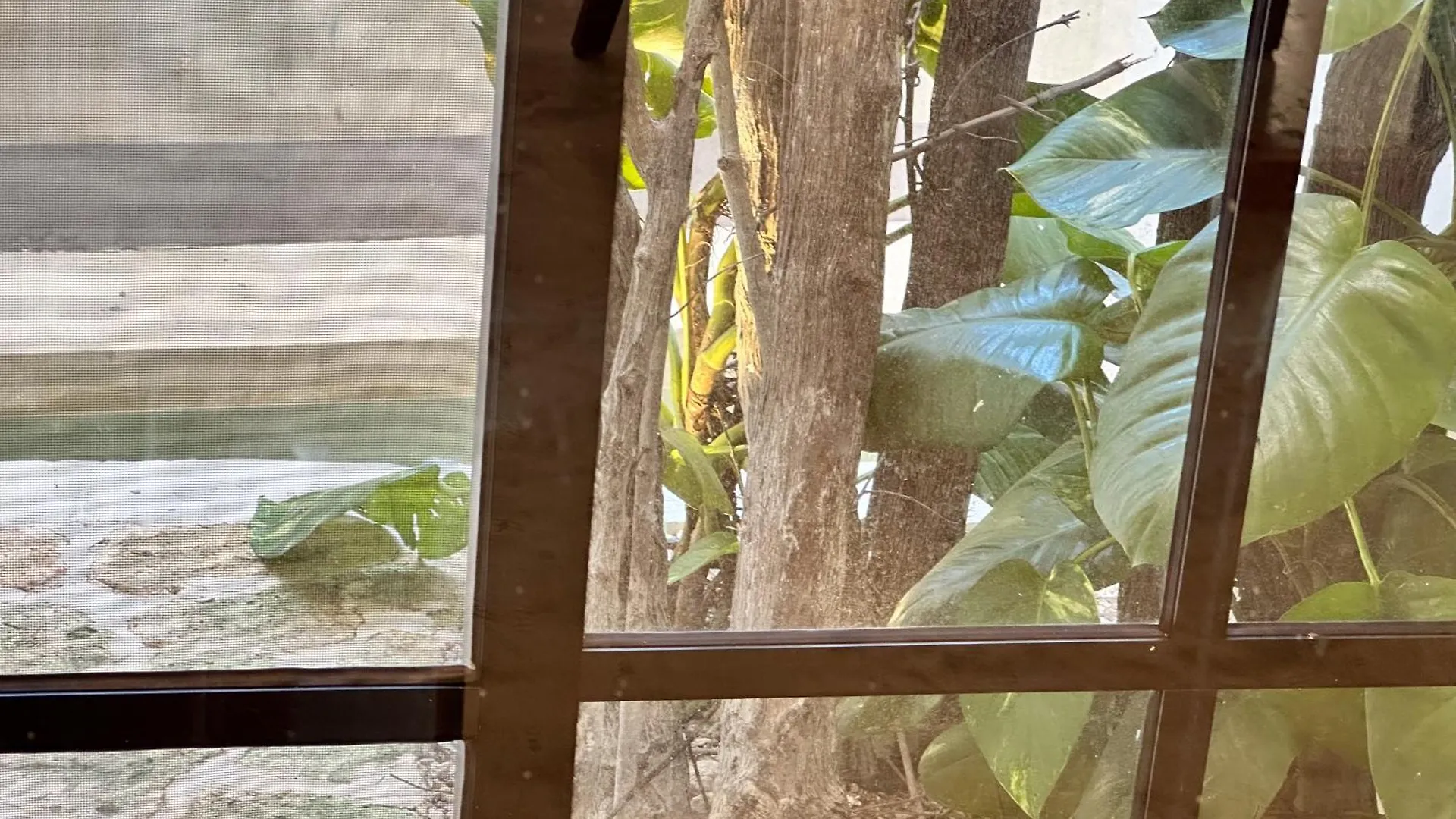 Casa Kobaab Tulum 아파트 호텔 아파트호텔